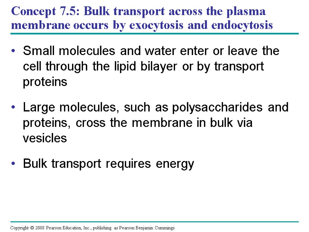 Concept 7.5: Bulk transport across the plasma membrane occurs by exocytosis and endocytosis Small